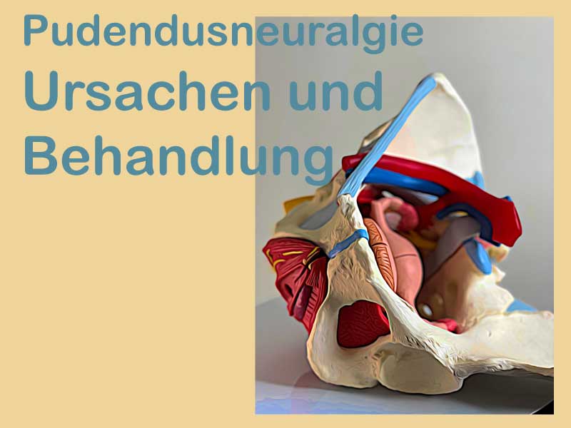 Pudendusneuralgie - Konzept - Bruckmann