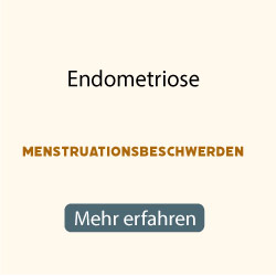 images/galerien/Menugalerie-beschwerden/endometriose-g2.jpg#joomlaImage://local-images/galerien/Menugalerie-beschwerden/endometriose-g2.jpg?width=250&height=250